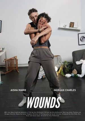 Wounds's poster