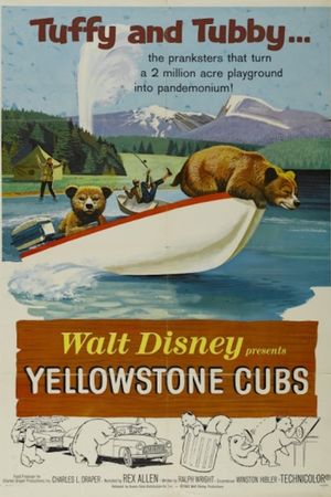 Yellowstone Cubs's poster