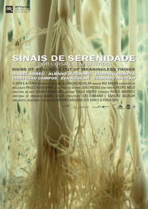 Signs of Stillness in Meaningless Things's poster