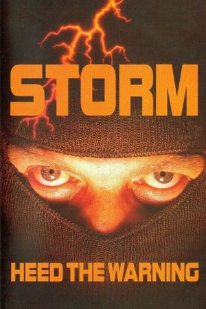 Storm's poster