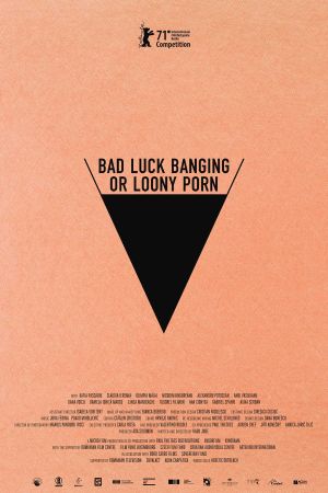 Bad Luck Banging or Loony Porn's poster