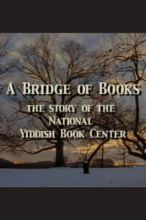 A Bridge of Books's poster image