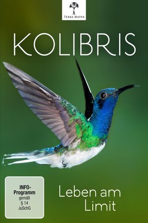 Kolibris - Leben am Limit's poster