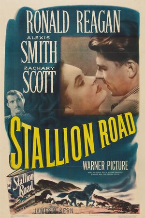 Stallion Road's poster