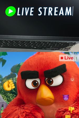 Live Stream's poster