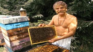 Queen of the Sun: What Are the Bees Telling Us?'s poster