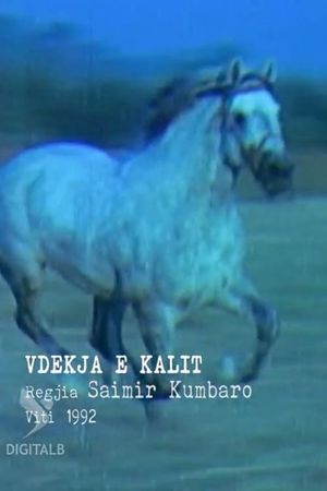 The Death of the Horse's poster