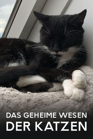 Das geheime Wesen der Katzen's poster