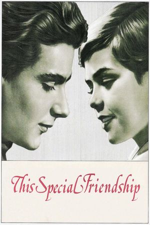 This Special Friendship's poster