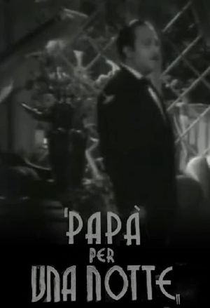 Papà per una notte's poster