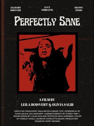 Perfectly Sane's poster