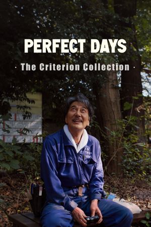 Perfect Days's poster