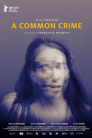 A Common Crime's poster