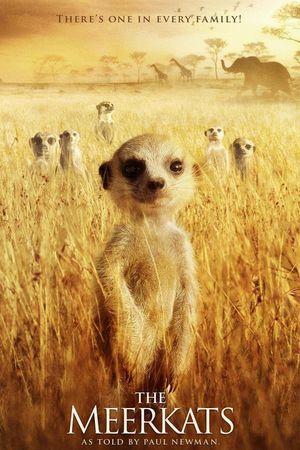 The Meerkats's poster