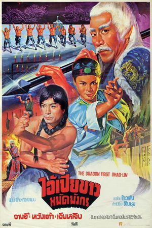 10 Brothers of Shaolin's poster