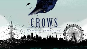 Crows - Nature Is Watching Us's poster