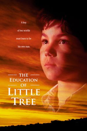 The Education of Little Tree's poster