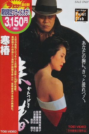Midwinter Camellia's poster