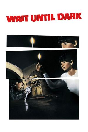 Wait Until Dark's poster