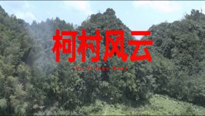 柯村风云's poster