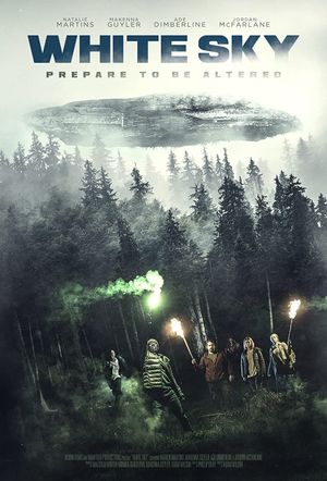 White Sky's poster