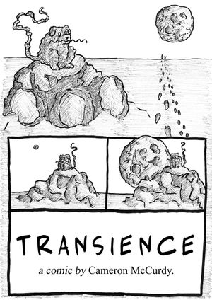 Transience's poster