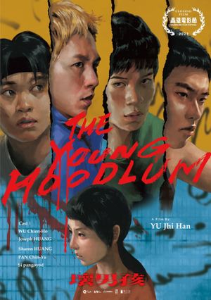 The Young Hoodlum's poster image