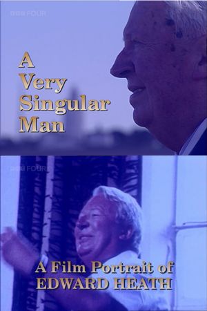 A Very Singular Man's poster