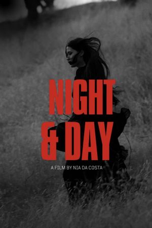 Night and Day's poster