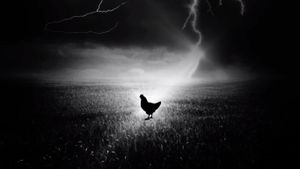 Holy Hen's poster