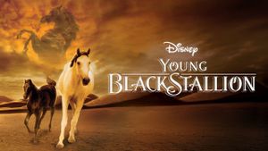 The Young Black Stallion's poster