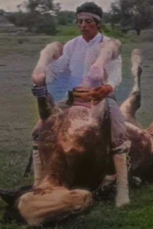 The Rider's poster