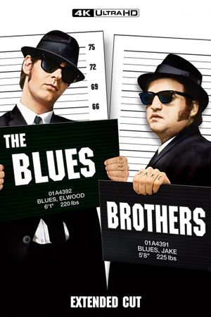 The Blues Brothers's poster