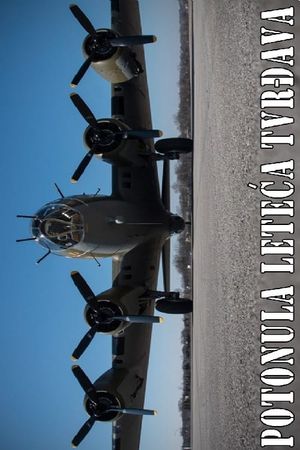 Sunken B-17 Flying Fortress's poster