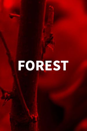 Forest's poster