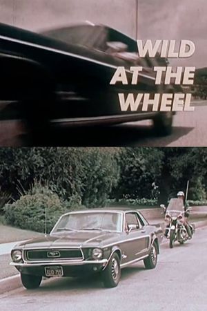 Wild at the Wheel's poster