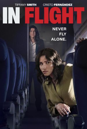 In Flight's poster