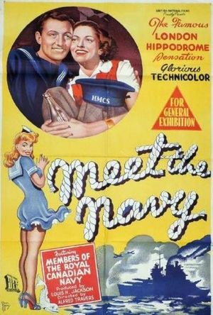 Meet the Navy's poster