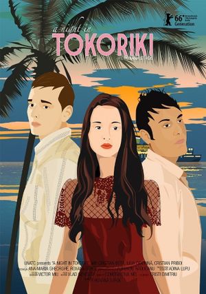 A Night in Tokoriki's poster