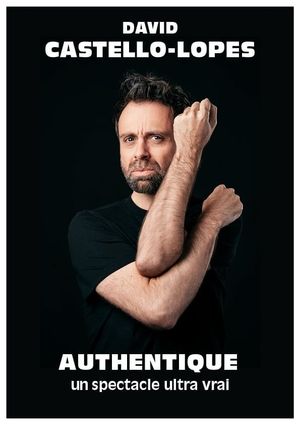 David Castello-Lopes : Authentique's poster
