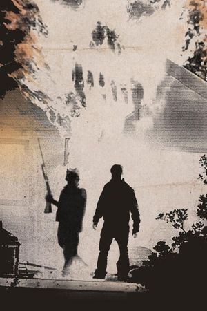 Resolution's poster