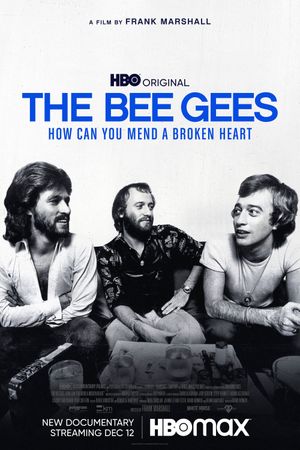 The Bee Gees: How Can You Mend a Broken Heart's poster