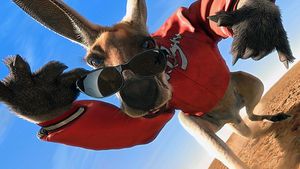 Kangaroo Jack's poster
