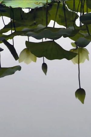 By the Lotus's poster