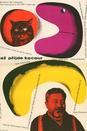 When the Cat Comes's poster
