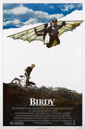 Birdy's poster