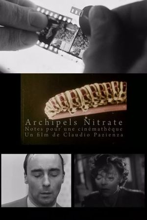 Archipels nitrate's poster