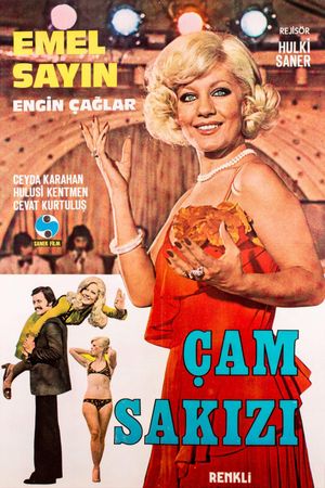 Çam Sakizi's poster