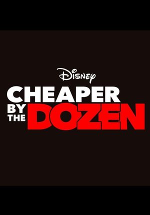 Cheaper by the Dozen's poster