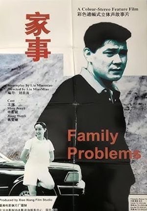 Family Problems's poster